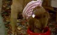 Punky Brewster (1984–1988) | Image Source: NBC